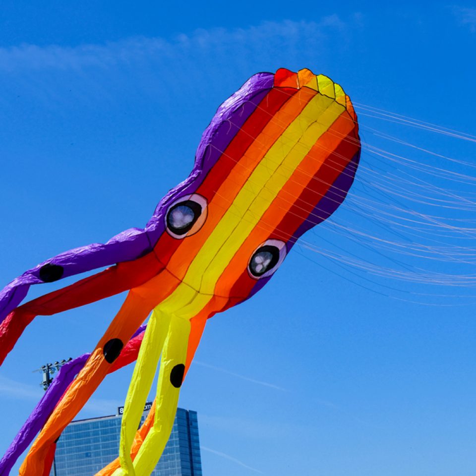 Chicago Kite Fest 2019