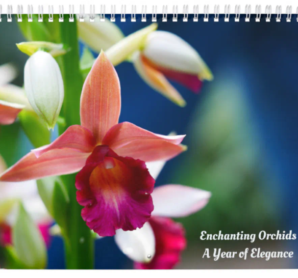 Orchid Calendar: Enchanting Orchids