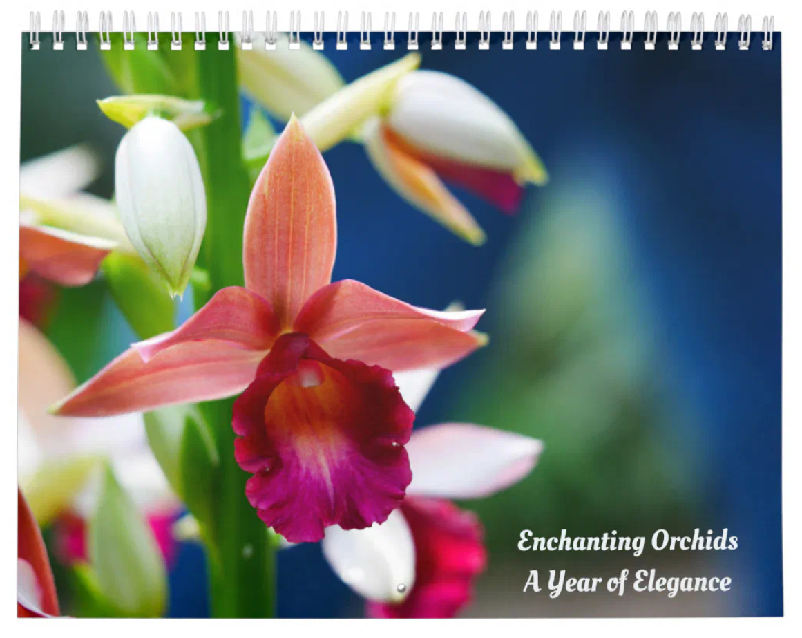 Orchid Calendar: Enchanting Orchids