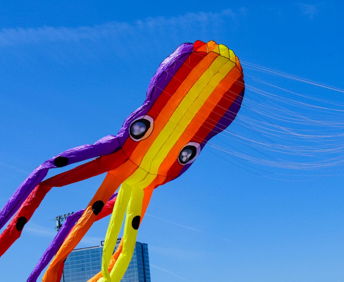 Chicago Kite Fest 2019