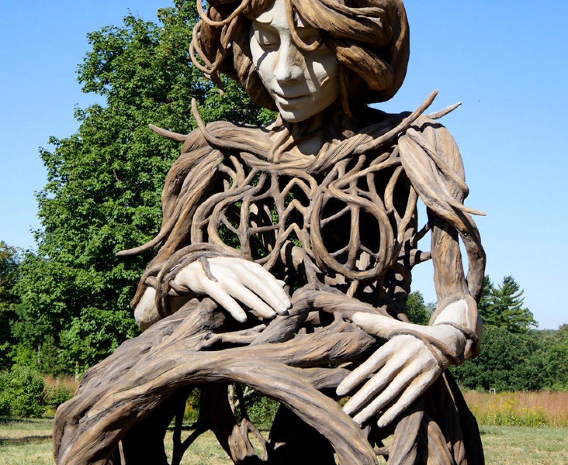Morton Arboretum 2021