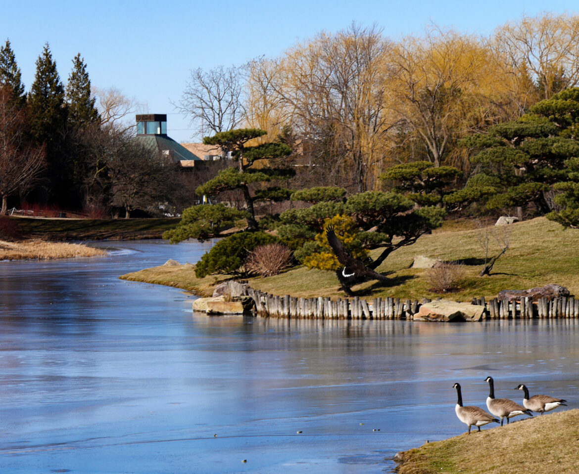 Chicago Botanic Garden @ Winter